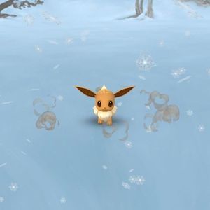 Meet your Posher, Lucie